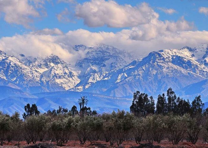 4 Day from Marrakech to the Middle Atlas Mountains
