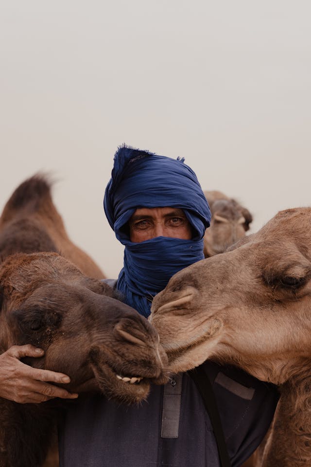 Camel Trekking in the Sahara: What to Expect on Your Desert Adventure